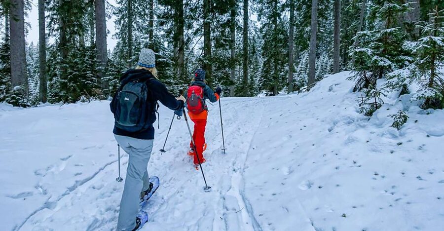 Snowshoeing in Triglav National Park - Learning to climb, descend, and cross a slope