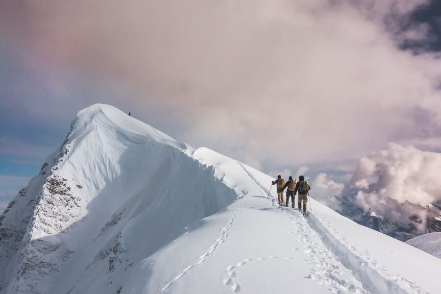 Snowshoeing in Triglav National Park - Who should book this six-hour outing