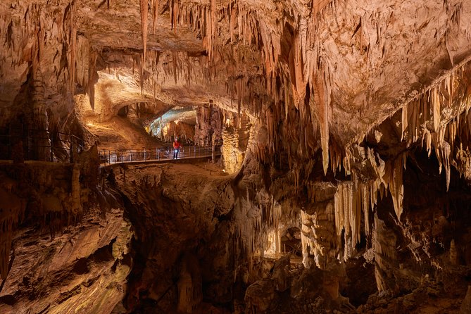 Tour to Postojna and Predjama Castle from Koper - Who should book this excursion?