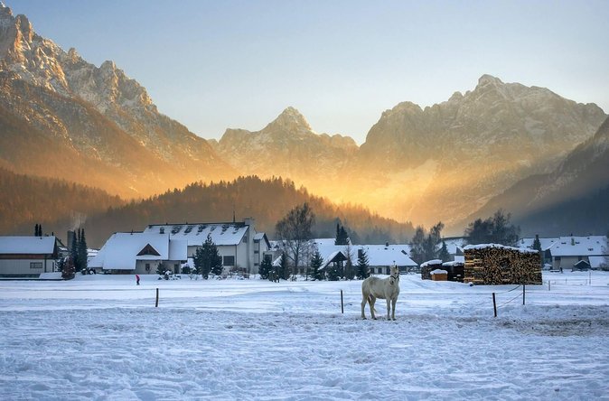 Triglav National Park and the Alps Private tour - Liznjek House and a look inside old Kranjska Gora