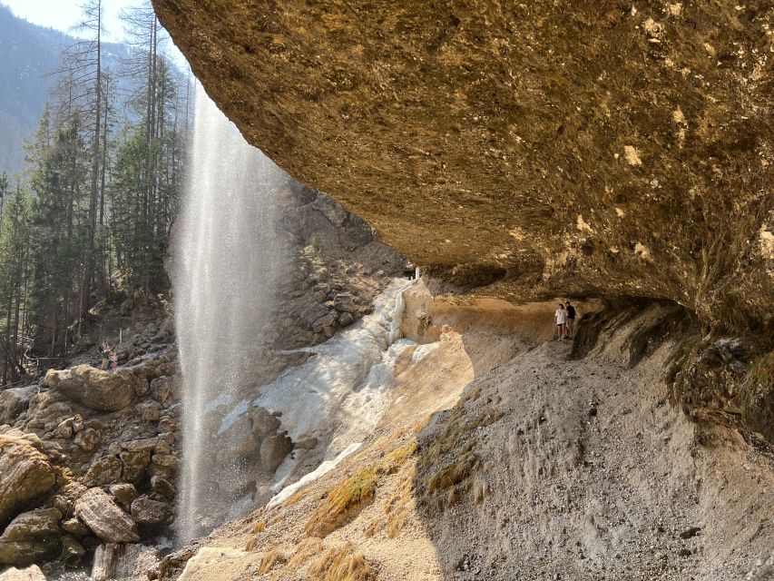 Triglav National Park Tour from Bled - Zelenci Nature Reserve offers a quieter pause