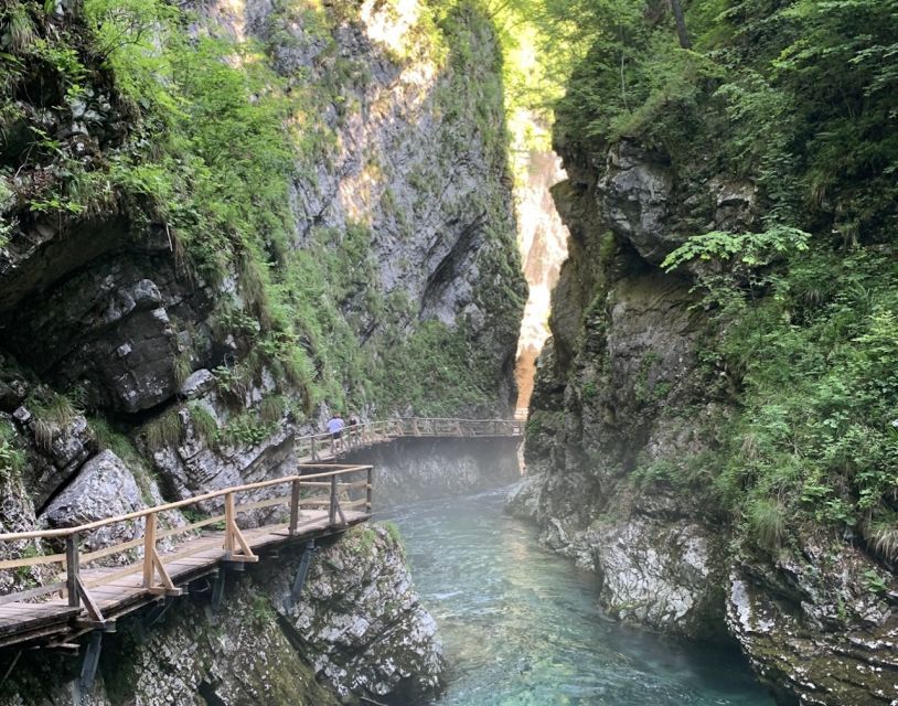 Triglav National Park Tour from Bled - Pokljuka Plateau brings the mountain views