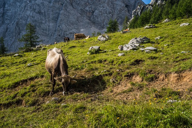 Triglav tour in 2 days Slovenia - What the $530 price really covers