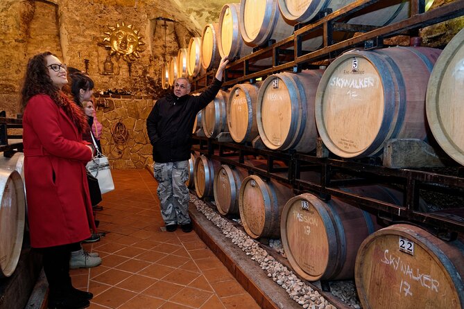 Wine and Culinary Adventure in Jeruzalem - Full Day Tour from Ljubljana or Ptuj - Arriving in the Slovenske gorice wine country