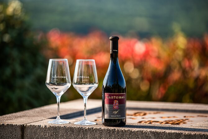 Wine Degustation in the Heart of Slovenian Istria - The cellar visit and the Santomas story