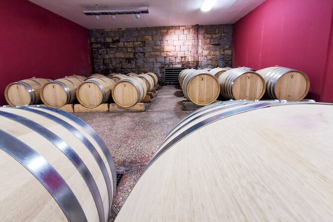 Wine Degustation in the Heart of Slovenian Istria - The cellar tower view