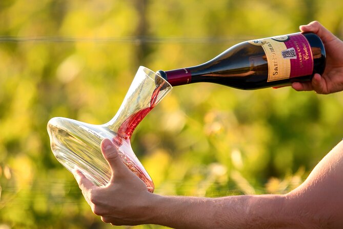 Wine Degustation in the Heart of Slovenian Istria - Arriving at Šmarje 10