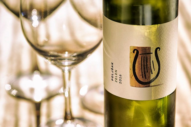 Wine Tasting with Cold Cuts - Entering the underground cellar in Vipava