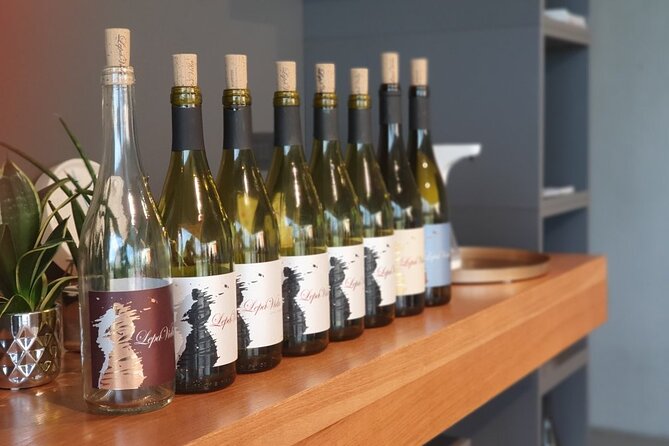 Wine Tasting with Pairing Snacks in Vipava Valley - What makes Lepa Vida different
