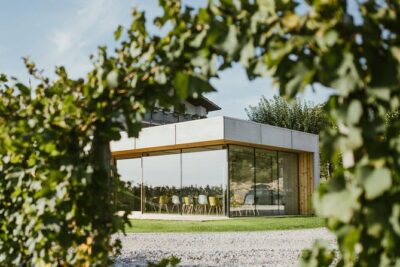 Wine Tasting with Pairing Snacks in Vipava Valley