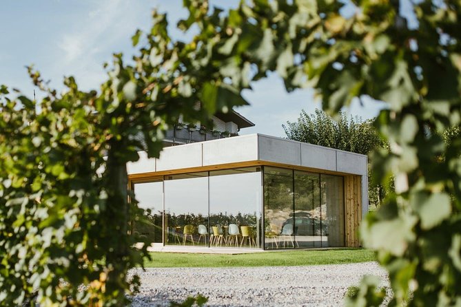 Wine Tasting with Pairing Snacks in Vipava Valley - Seven wines, not just a token sample