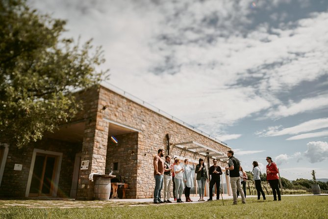 Wine Tours in Slovenia - Why the small group matters