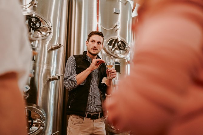Wine Tours in Slovenia - Booking details and timing that matter