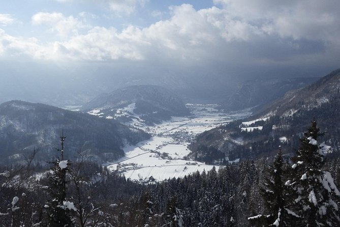 Winter Fairytale - Triglav National Park Half Day Trip - What the guide and small group add