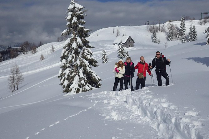 Winter Fairytale - Triglav National Park Half Day Trip - Fitness, clothing, and winter planning