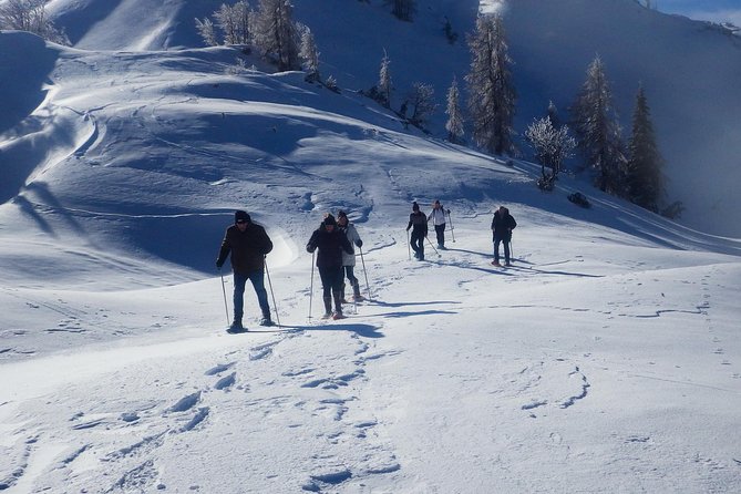 Winter Fairytale - Triglav National Park Half Day Trip - Savica Waterfall and its green winter water